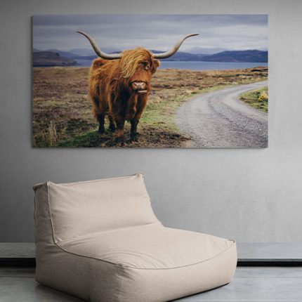 hooglander koe wanddecoratie