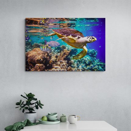 wanddecoratie zeeschildpad voor je keuken